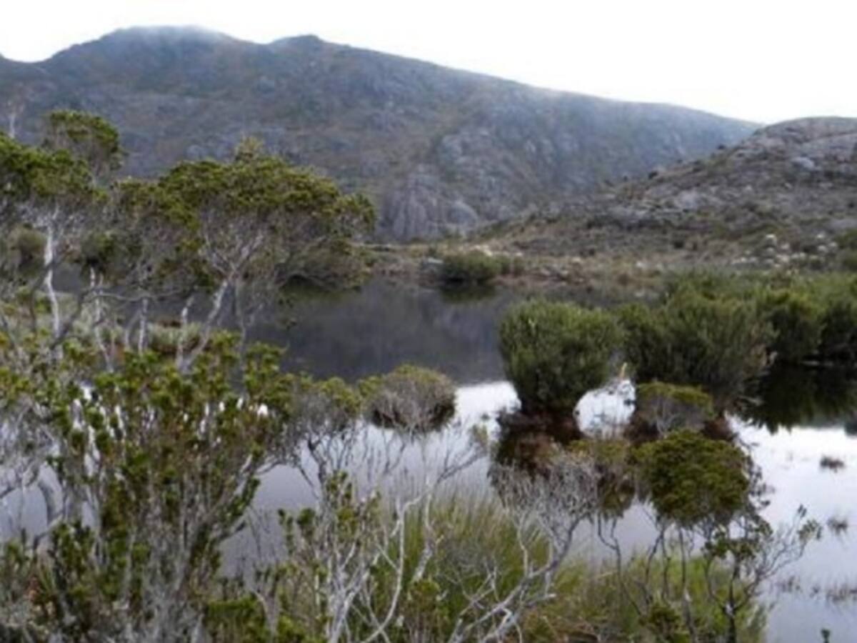 Gobierno debe implementar estrategia para frenar explotación minera en páramos