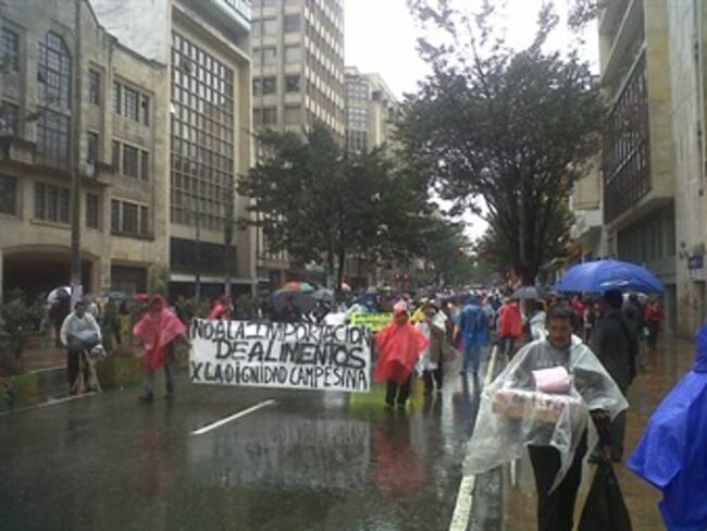 Más de 3.000 productores de papa marcharon por el centro de Bogotá