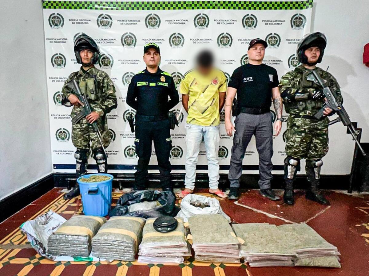 Desmantelan centro de acopio de marihuana del Bloque Central Isaías Pardo en el Huila