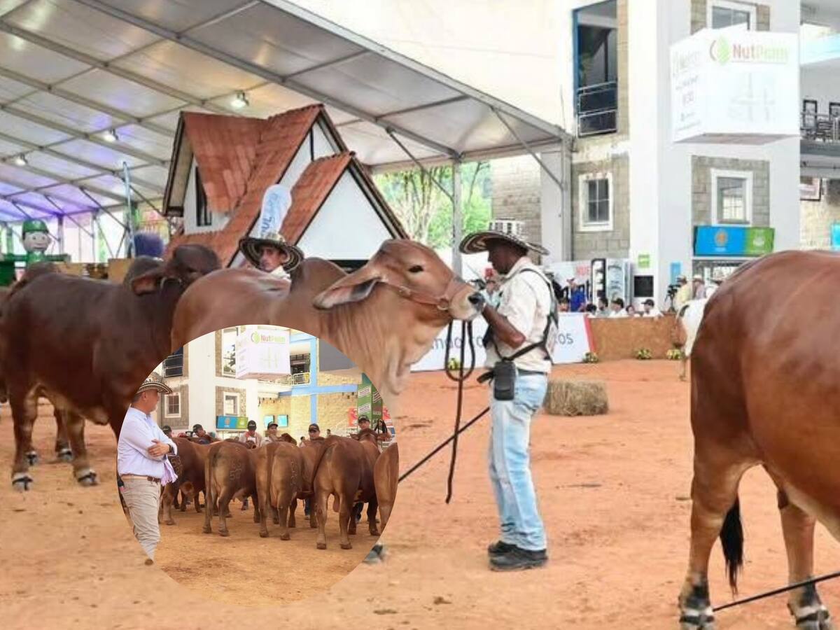 HOY inicia la Feria Ganadera de Colombia en Bucaramanga, ¿Hasta cuándo va?