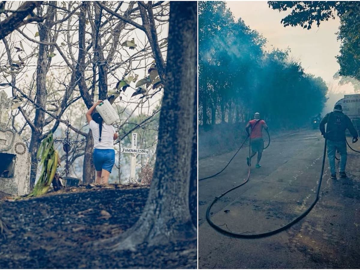 El Tolima tiene 36 incendios forestales en 20 municipios: el más grave se registra en San Luis
