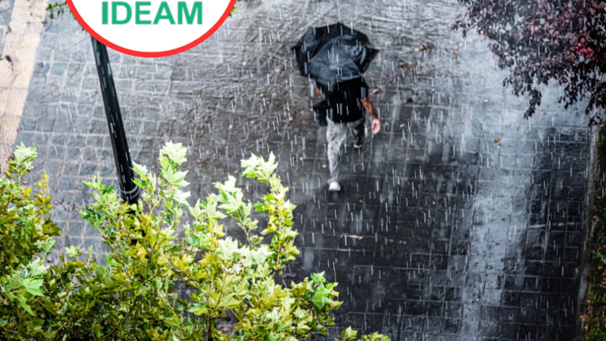 Están las condiciones, pero deben mantenerse por 5 meses para confirmar Fenómeno de la Niña: IDEAM