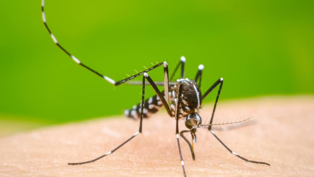 En aumento casos de dengue en cinco municipios de Caquetá