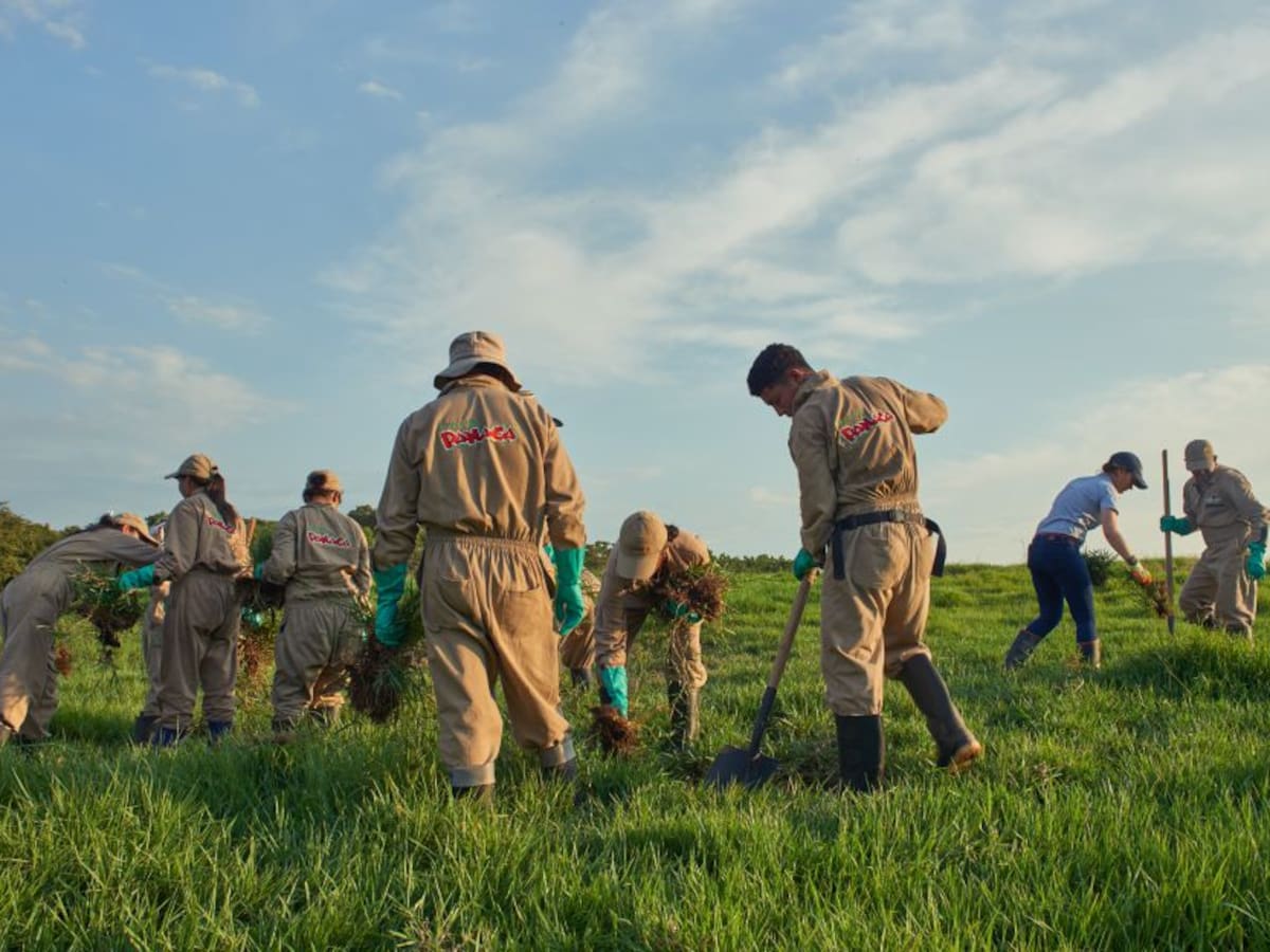 200 trabajadores de Panaca cultivan productos dentro del parque