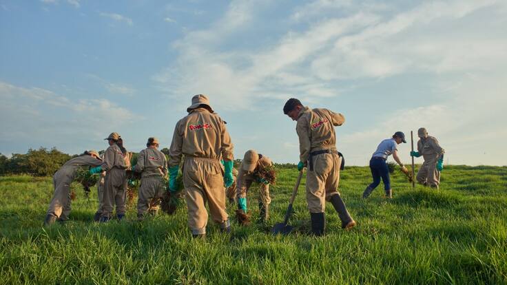 200 trabajadores de Panaca en Quindío cultivan productos dentro del parque