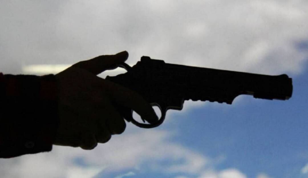 Referencia. Foto: Cortesía.