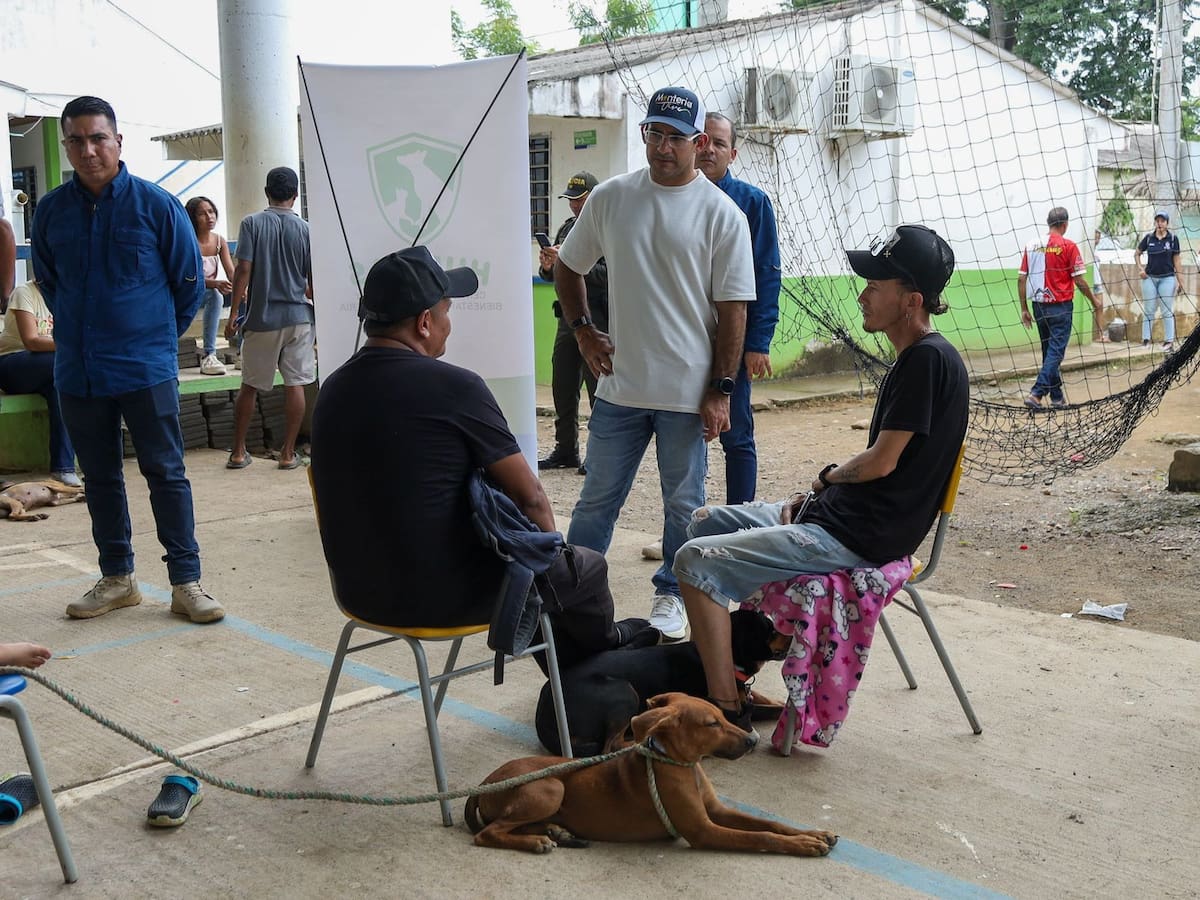 Montería esteriliza en tiempo récord a más de 2.200 perros y gatos abandonados