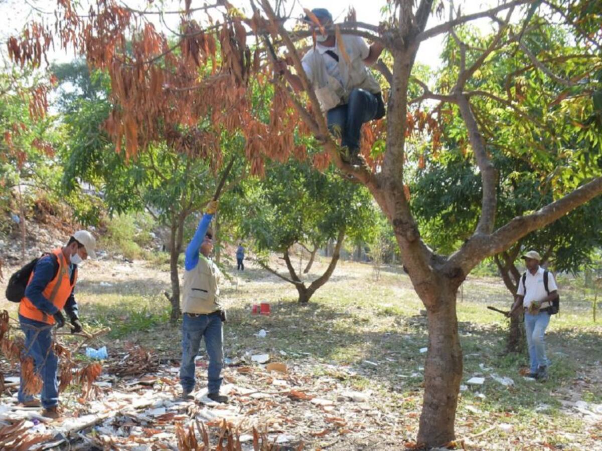 EPA Cartagena inició recuperación de zona verde afectada en Las Gaviotas