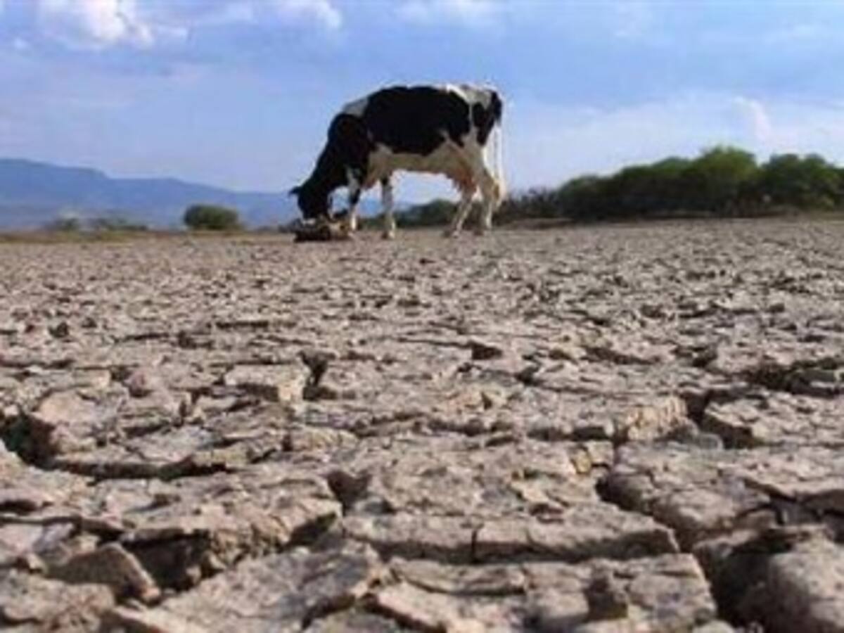 Se avecina un ‘Niño débil pero travieso’: Ideam