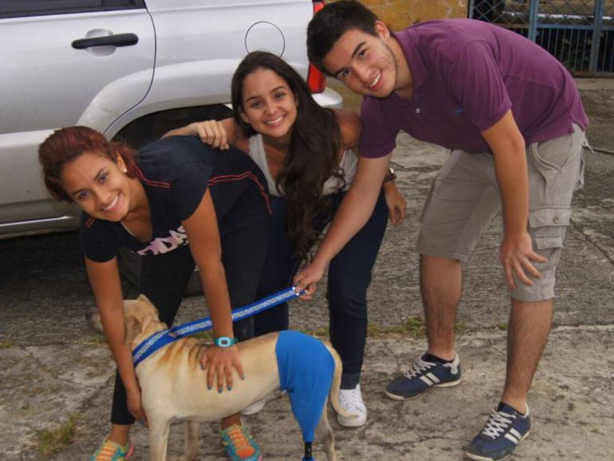 Red de colaboración para animales discapacitados se crea en la U. Autónoma