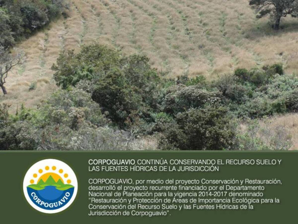 Corpoguavio busca restaurar las áreas afectadas por deforestación
