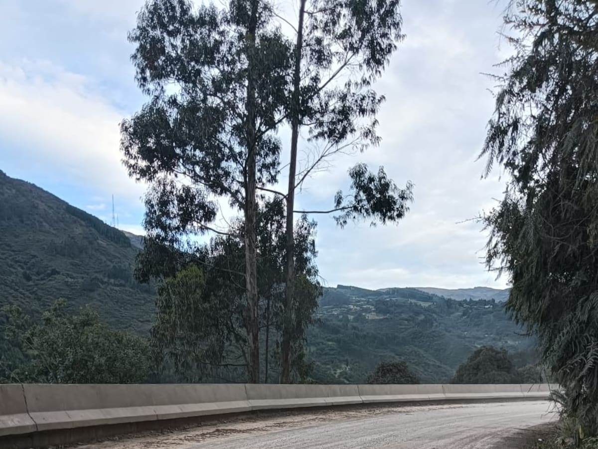 «No hay voluntad política»: denuncian abandono de la vía Duitama–Charalá