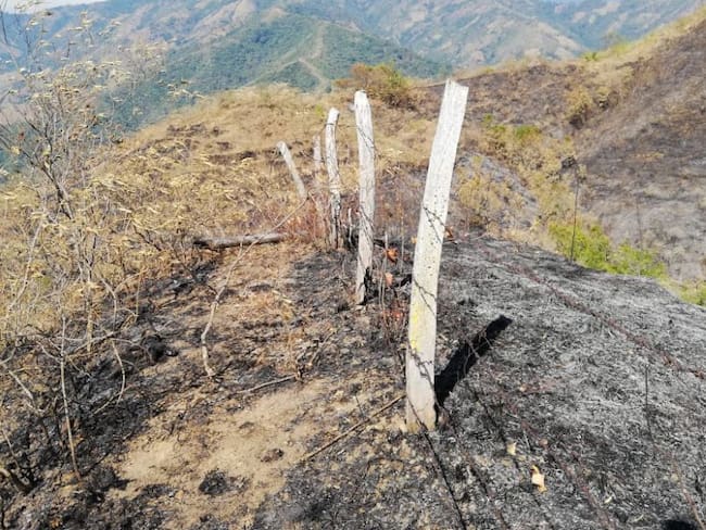 Controlan incendio forestal en Alvarado, Tolima