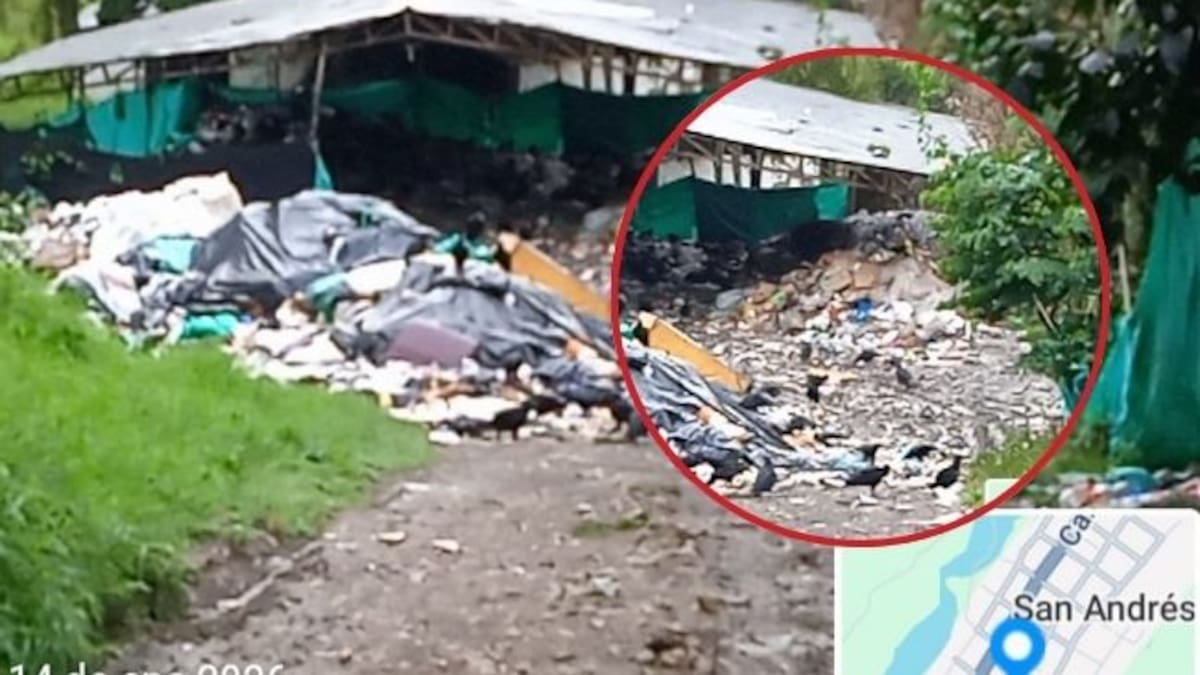 Juzgado ordena cierre de botadero de basuras en San Andrés, Santander