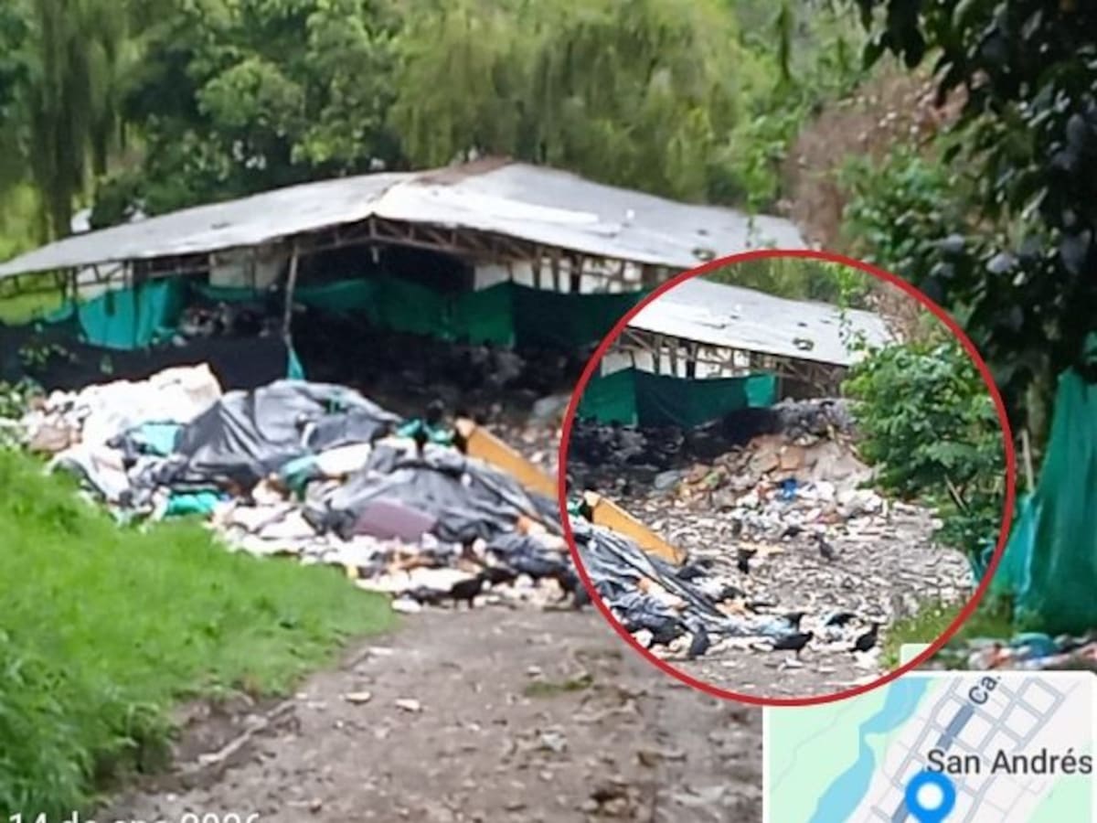 Juzgado ordena cierre de botadero de basuras en San Andrés, Santander