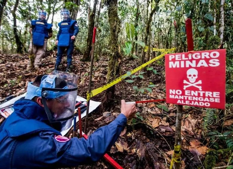 El Huila podría quedar libre de sospecha de minas antipersonal este año.