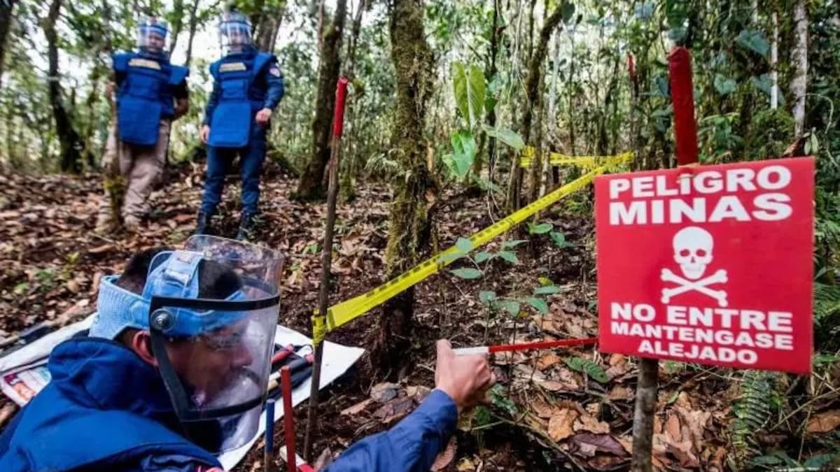 Huila podría quedar libre de sospecha de minas antipersonal en 2026