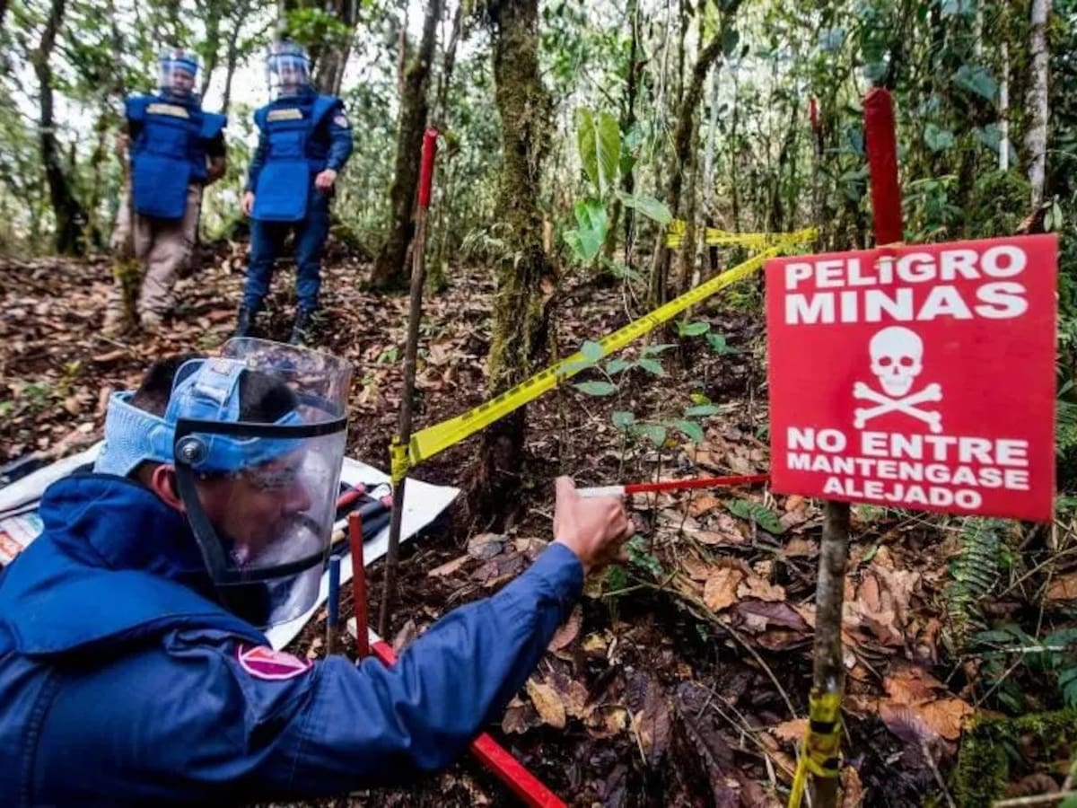 Huila podría quedar libre de sospecha de minas antipersonal en 2026