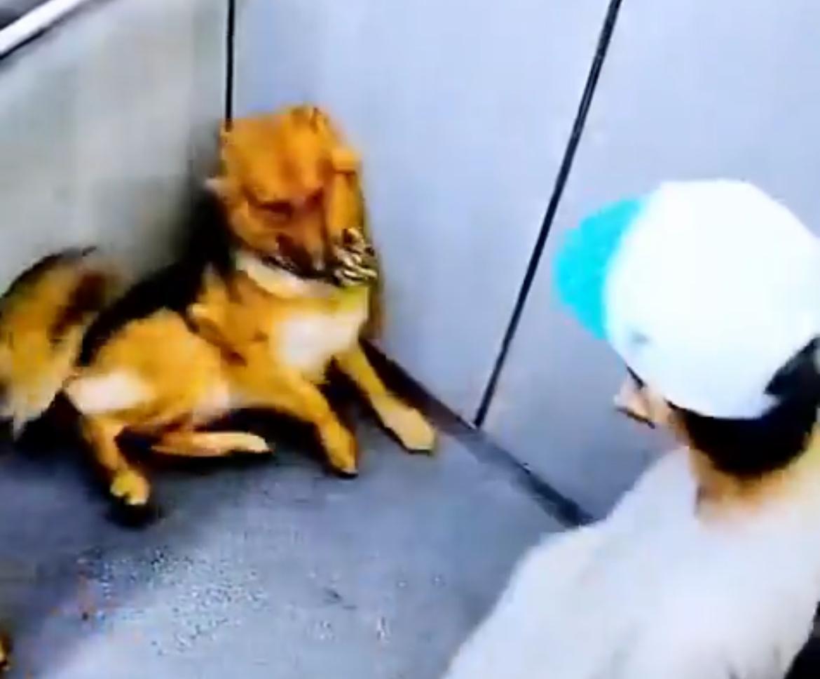 Foto: Alcaldía de La Estrella.