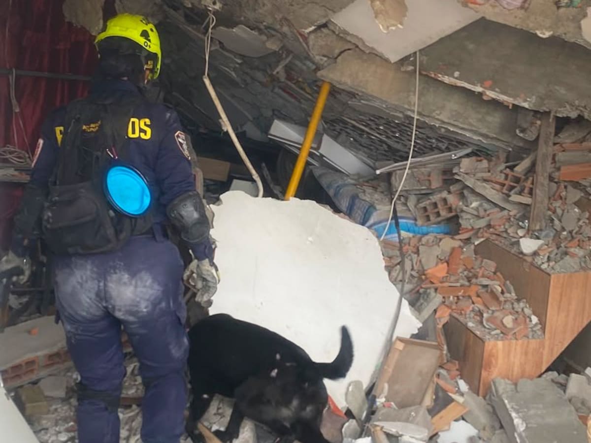 La vida surge de los escombros: Bomberos de Tunja rescatan pareja de adultos mayores en Pereira