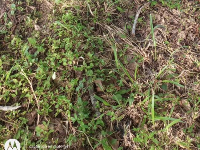 Camioneta con impactos de bala. Cortesía: suministrada.