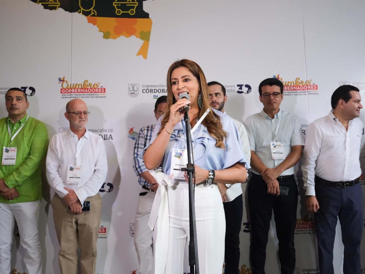 Gobernadores piden al Gobierno que se levante el cese al fuego con los grupos armados