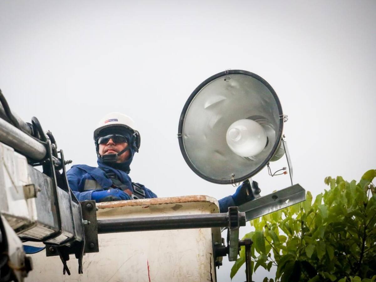 Nuevamente roban red de alumbrado público en el Parque de la Música en Ibagué