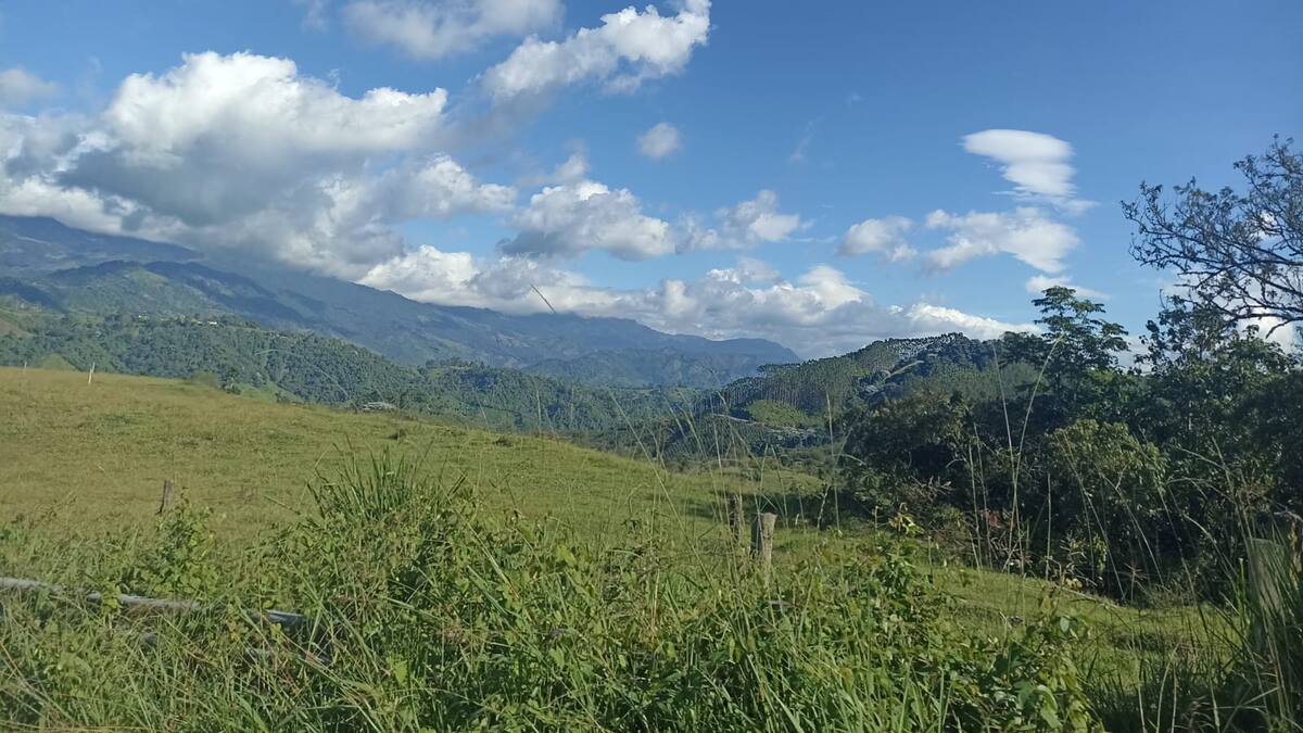 Miércoles 12 de julio, las noticias más importantes de Armenia y Quindío