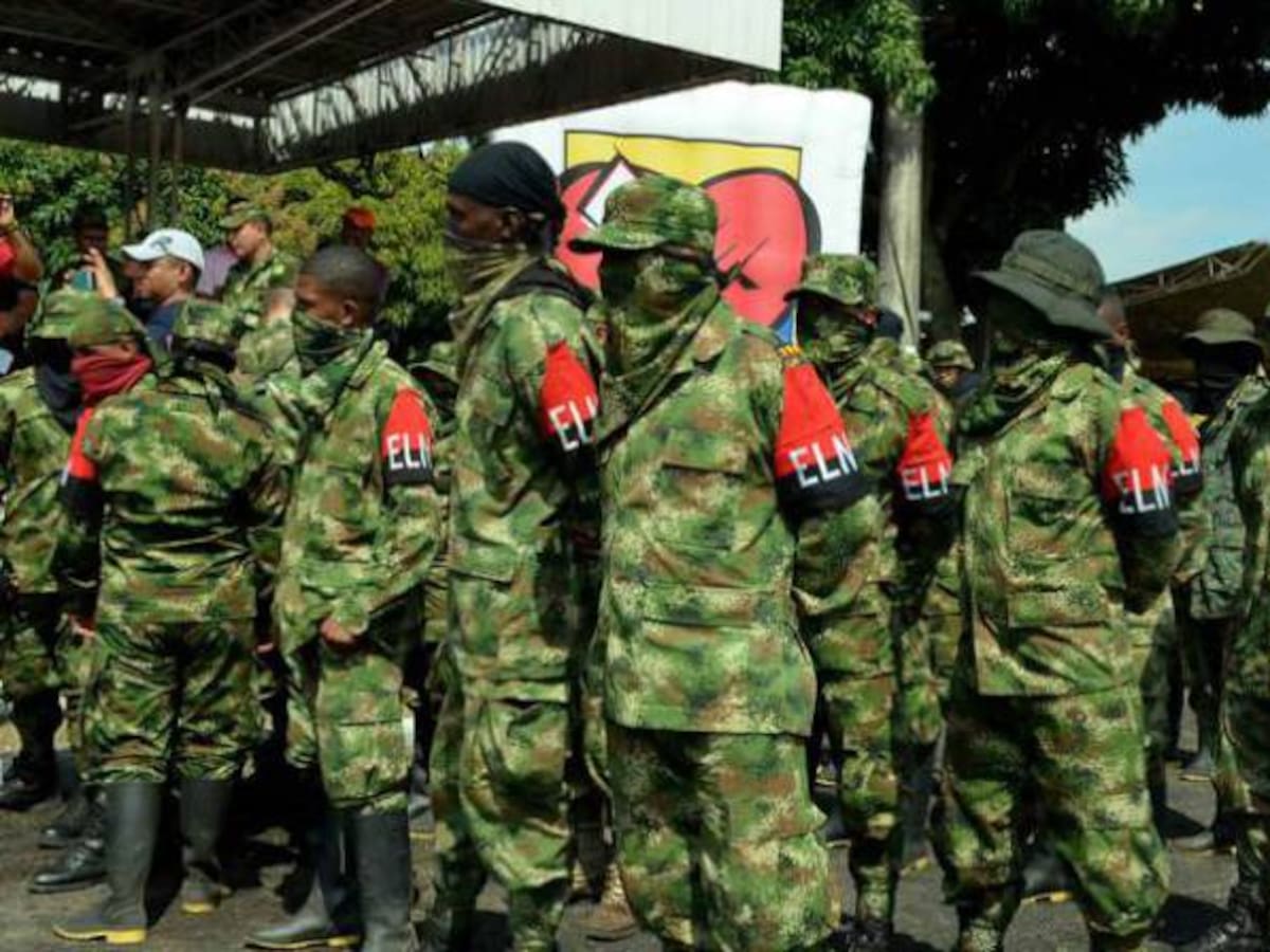 Campesinos del Catatumbo se reunirán con mesa de diálogo del ELN: Gobierno
