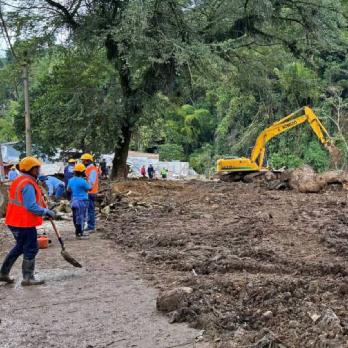 Tres alcaldes de Pereira desacataron fallo de desalojo en la comuna del río