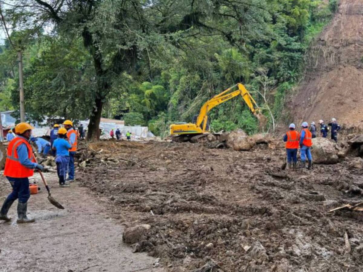 Tres alcaldes de Pereira desacataron fallo de desalojo en la comuna del río