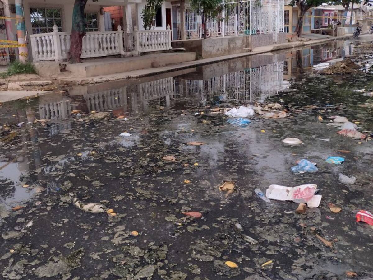 Desde la próxima semana habrá nuevo pico de casos de dengue en Cartagena