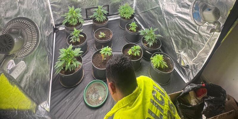 Cortesía: Gobernación de Cundinamarca