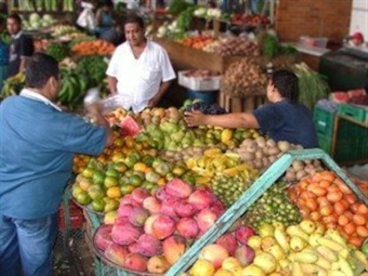 Invierno incrementará precio de los alimentos