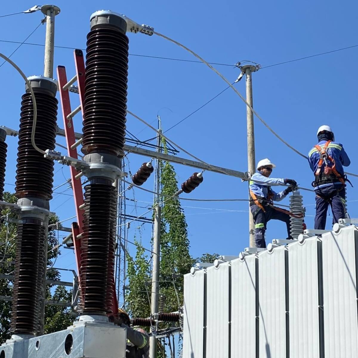 Este lunes se realizarán trabajos prioritarios en la Línea 615 Ternera - Gambote