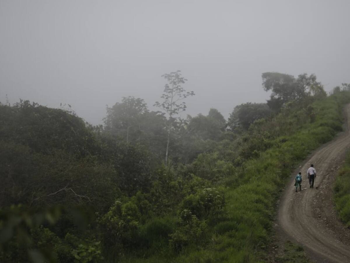 Declaran tres días de duelo por víctimas en Dabeiba, Antioquia