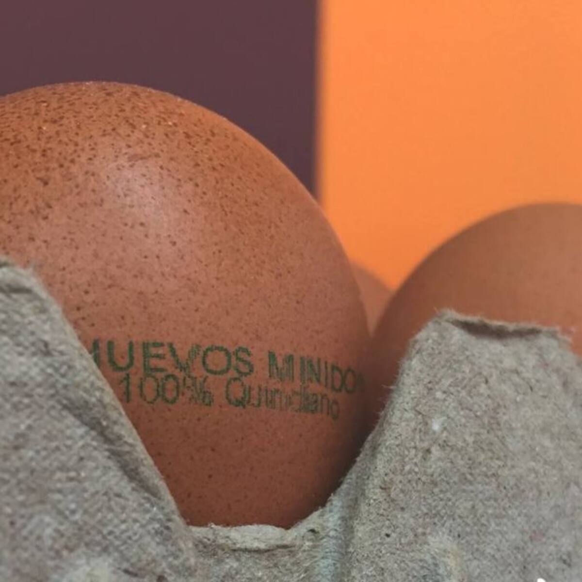 Desesperados están productores de huevos en el Quindío por los bloqueos