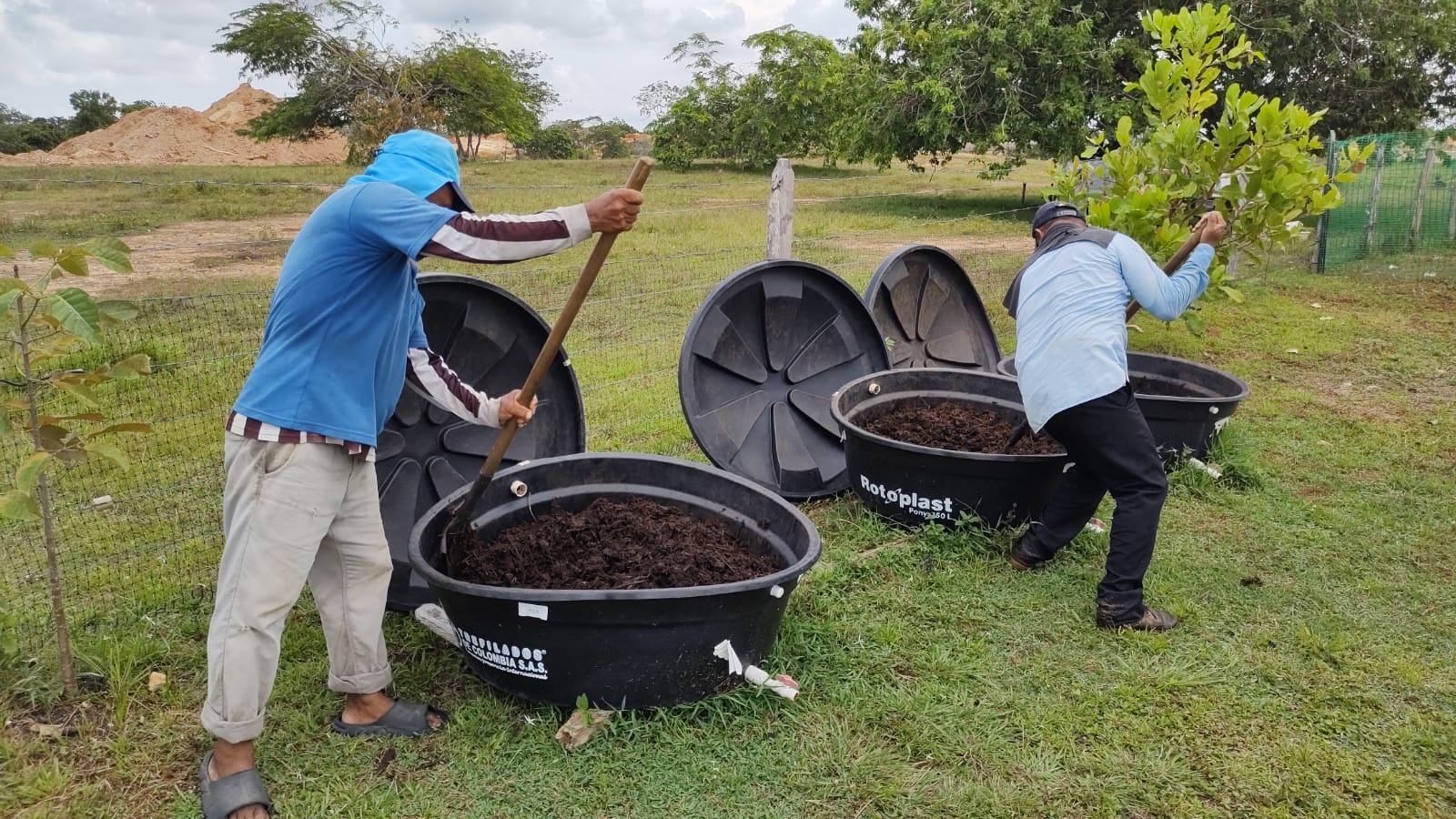 Foto: recuperación de hectáreas afectadas por la minería aurífera. Cortesía prensa Unicórdoba.