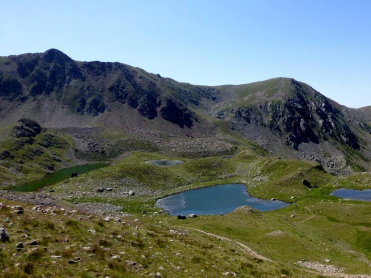 Colombia está apostándole al crecimiento económico con los negocios verdes: viceambiente