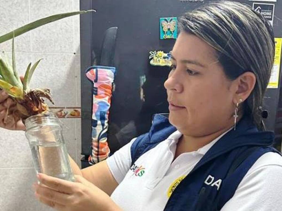 Disminuyen casos de dengue en el barrio San Fernando de Cartagena