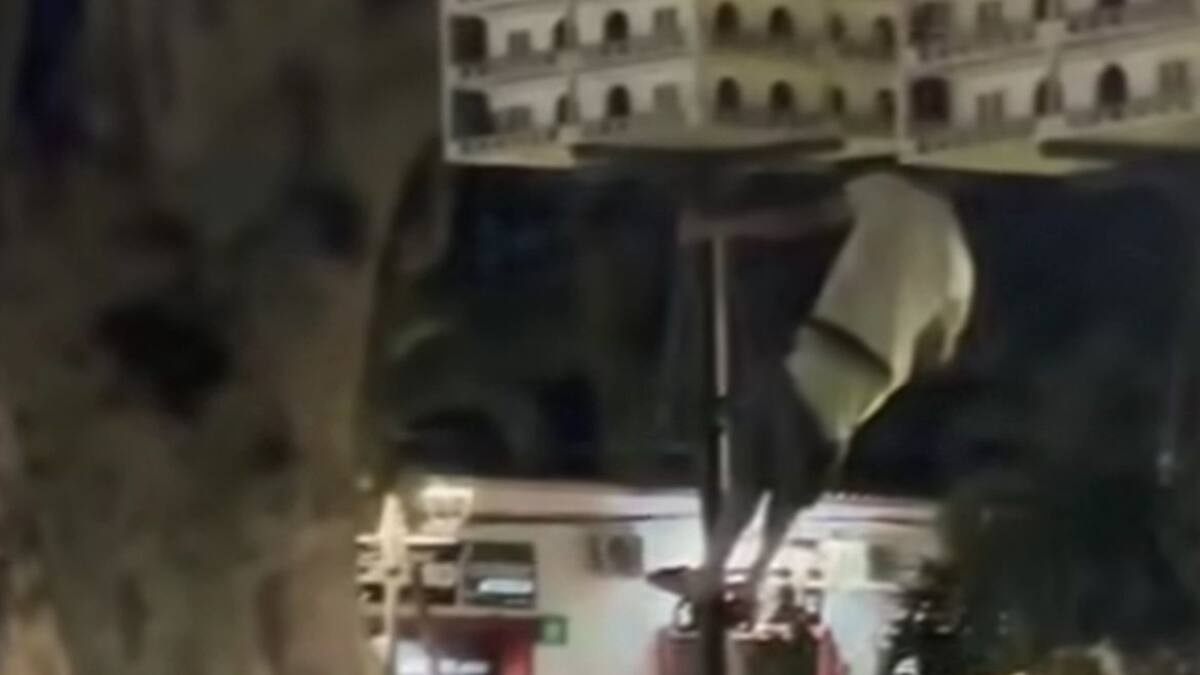 Volvió a aparecer hombre que ataca a las palomas en Ocaña