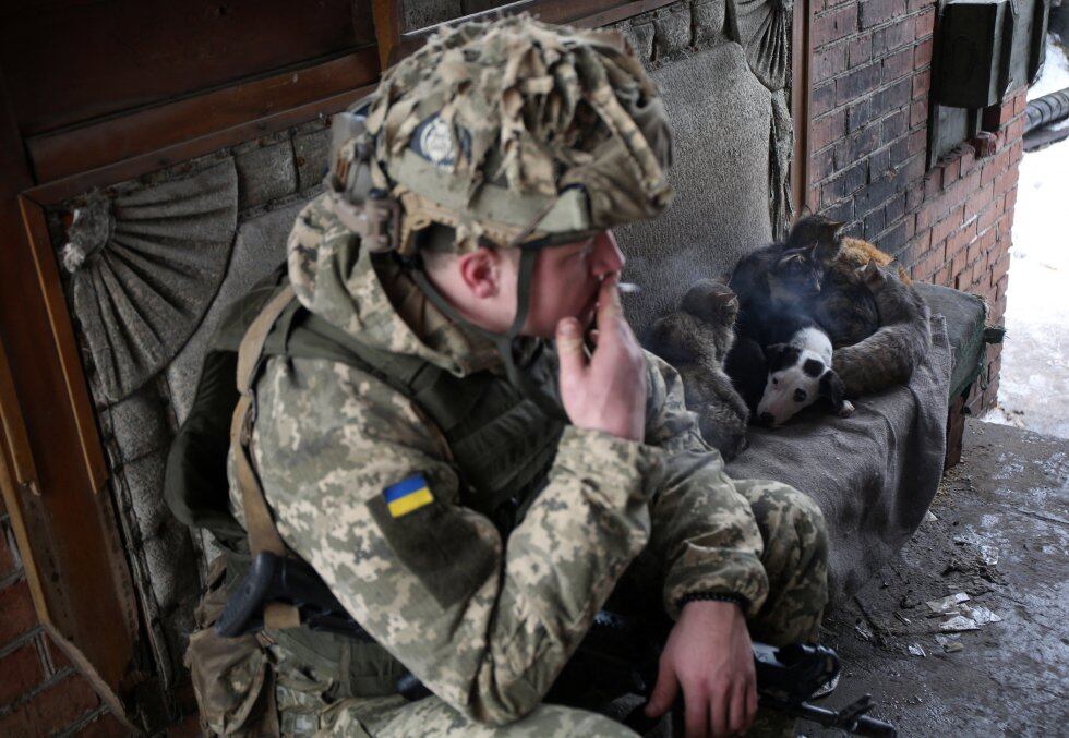 Mascotas también están siendo afectadas por guerra en Ucrania. Algunas familias huyen con sus perros. 