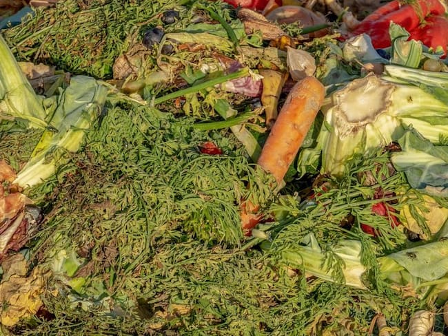 Compostaje casero para deshacerse de los residuos orgánicos