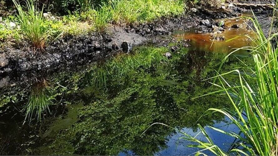 Oleoducto Caño Limón-Coveñas. Foto: Colprensa