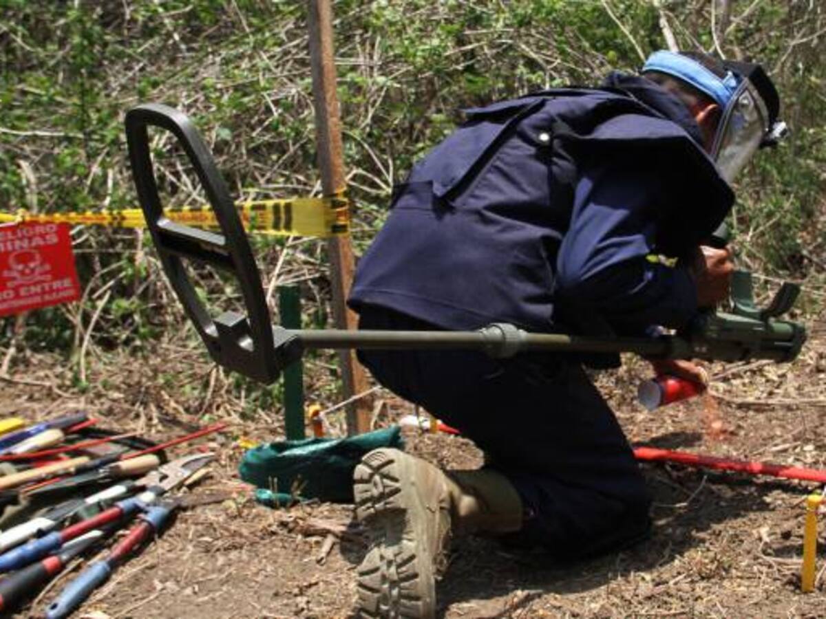 En 2 semanas empezará desminado humanitario en Mesetas, Meta