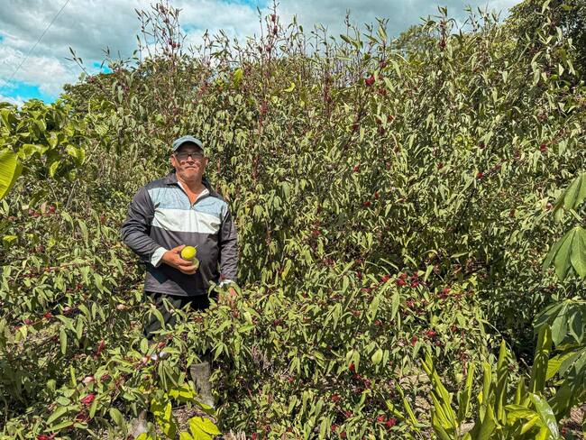 ANT responde a Contraloría por hallazgos fiscales en la compra del predio “La Grosería” en el Cesar