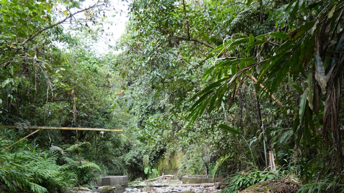 José Alejandro Guevara, gerente EPQ, Quindío