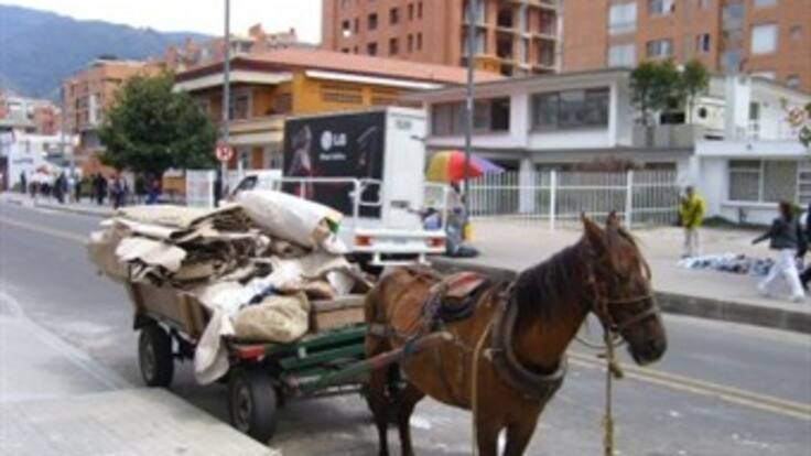 ¿por qué continúan movilizándose los vehículos de tracción animal?. Informe en Planeta Caracol