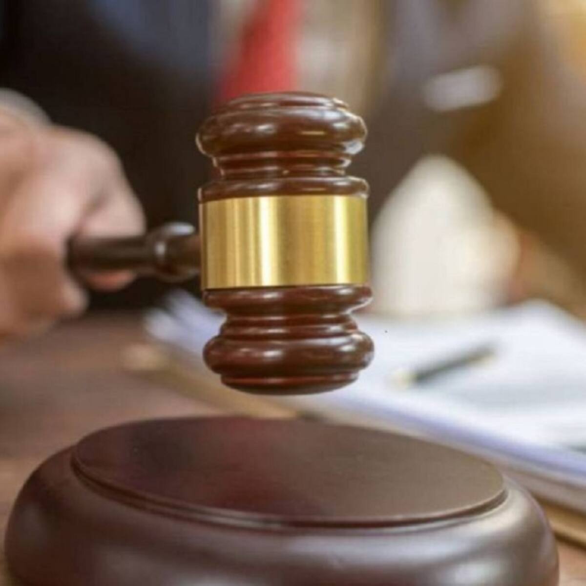 Corte Constitucional se abstuvo de decidir sobre apropiación ilegal de baldíos