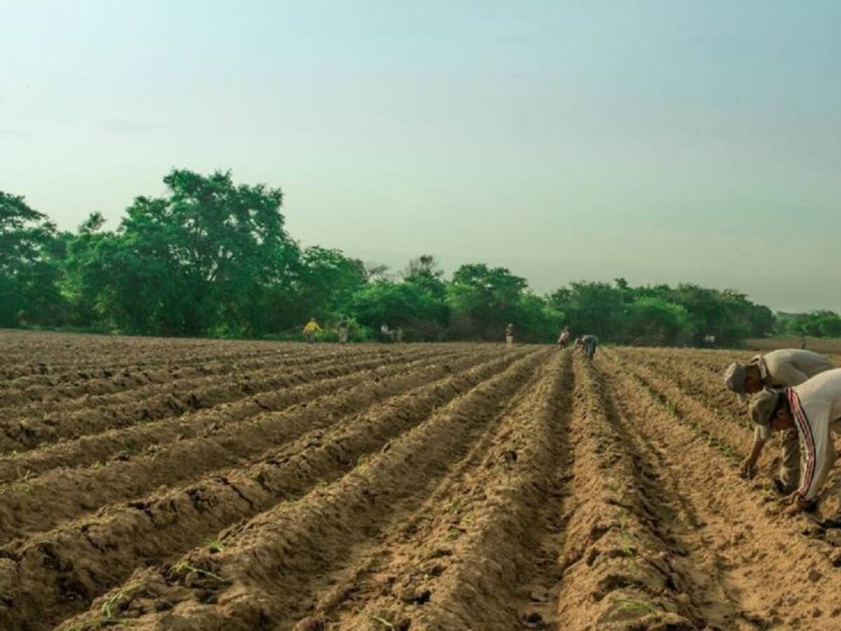 Aprobaron proyecto para excombatientes en San Jacinto, Bolívar